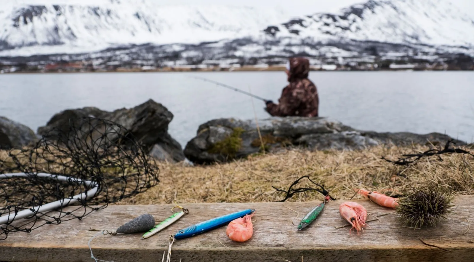 Fishing lures and tackle laid out on driftwood with an angler by a snowy fjord behind