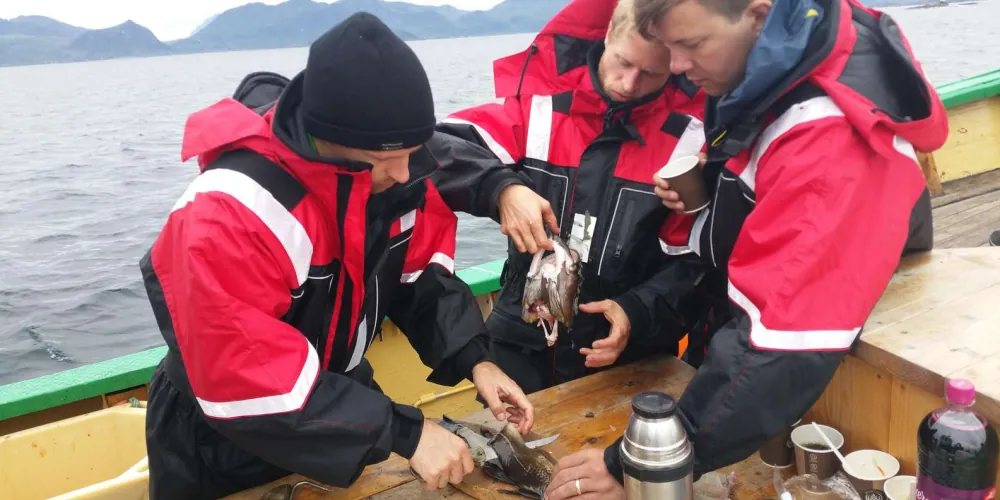 On board the Lofoten fishing boat from Svolvær