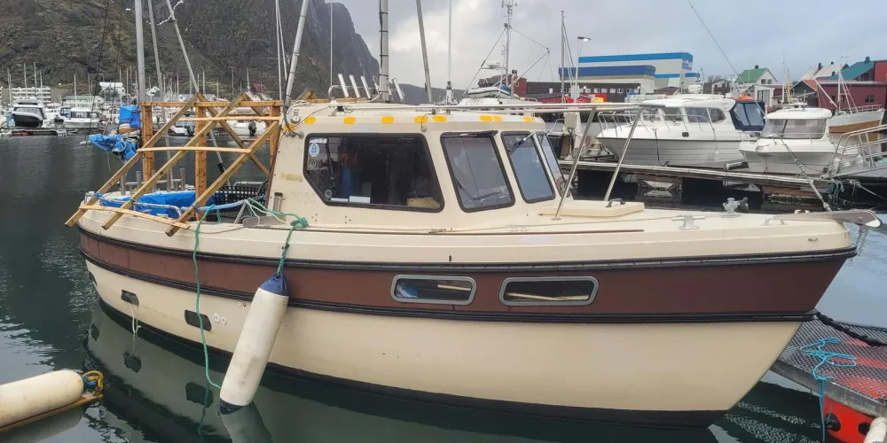 A catch from the Svolvær fishing trip